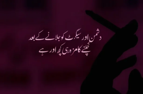 attitude poetry in urdu